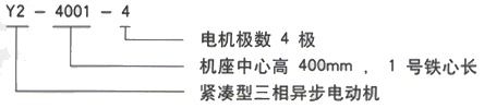 YR系列(H355-1000)高压YKK6304-12/800KW三相异步电机西安西玛电机型号说明